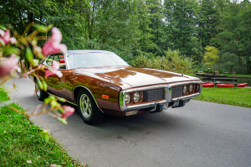 Ein schnittiger, brauner Dodge Charger aus den 70er-Jahren in einer parkähnlichen Landschaft