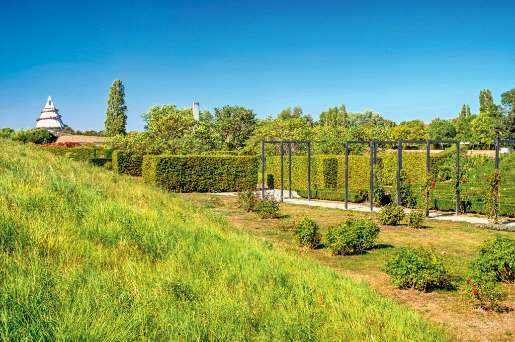 Foto des Elbauenparks in Magdeburg im Sommer bei wolkenlosem Himmel